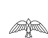 a black and white line drawing of a bird with its wings outstretched