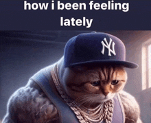 a cat wearing a new york yankees hat and chains says how i been feeling lately