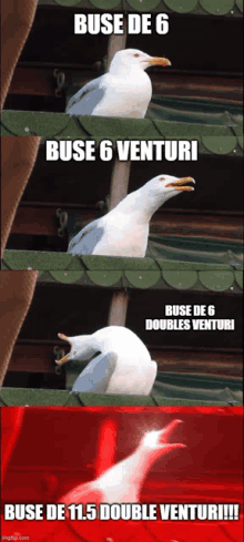 a seagull with the words buse de 6 buse 6 venturi buse de 6 doubles venturi buse de 11.5 double venturi !!!