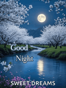 a picture of a river with flowers and trees and the words good night sweet dreams