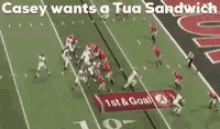 a football field with the words casey wants a tua sandwich written on it