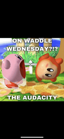 a picture of kirby and a monkey with the caption on waddle wednesday