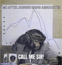 a chimpanzee sitting at a desk talking on a phone with the caption " call me sir "