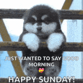 a puppy is hanging over a fence with the words just wanted to say good morning happy sunday