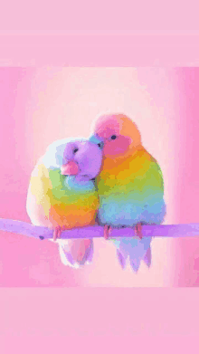 a couple of colorful birds sitting on a branch