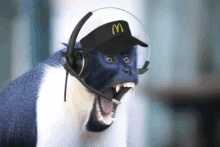 a monkey is wearing a mcdonald 's hat and headphones