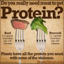 a poster that says ' do you really need meat to get protein ' on it