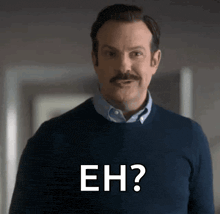 a man with a mustache is wearing a blue sweater and says eh .