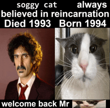 a picture of a man next to a picture of a cat with the caption welcome back mr