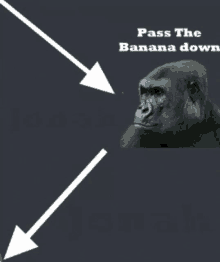 a picture of a gorilla with arrows pointing to it and the words pass the banana down below it