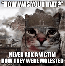 a cat wearing a military helmet with the caption " how was your irat ? "
