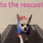 a dog in a superman costume is on a treadmill