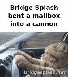 bridge splash bent a mailbox into a cannon with a picture of a cat driving a car
