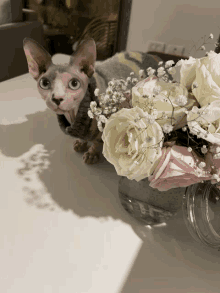 a hairless cat is sitting on a table next to a vase of flowers