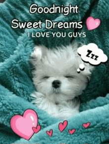 a picture of a puppy sleeping under a blanket with the words goodnight sweet dreams i love you guys below it