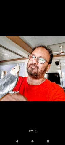 a man in a red shirt is holding a small bird on his shoulder ..