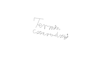 a handwritten signature that says termin czarodziej on it