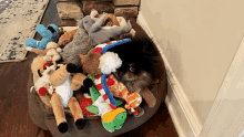 a dog laying in a dog bed filled with stuffed animals