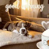 a puppy laying on a couch next to a cup of coffee with the words good morning above it