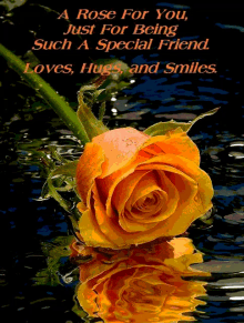 a rose for you just for being such a special friend loves hugs and smiles is reflected in the water