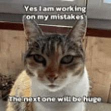 a cat with a caption that says `` yes i am working on my mistakes the next one will be huge ``