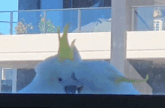 a bird with a crown on its head is looking out a window