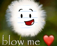 a drawing of a dandelion with a face and the words blow me