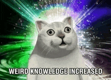 a white cat is standing in front of a green and purple background with the words `` weird knowledge increased '' written on it .