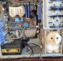 a cat sits inside of a computer with the words rate my pc written on the bottom