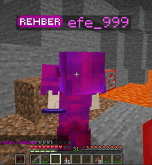 a purple character in a minecraft game with the name rehber efe_999