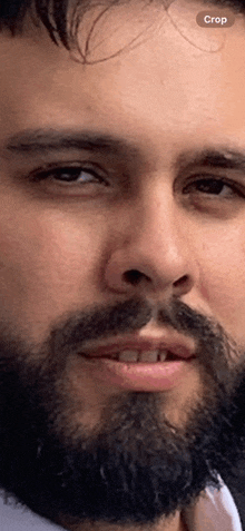 a close up of a man 's face with a crop button on the bottom right