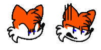 two drawings of a fox 's face with different expressions .