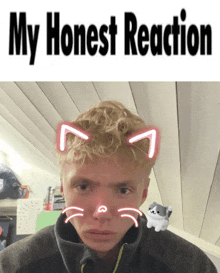 a picture of a boy with cat ears and the words my honest reaction above him