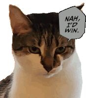 a cat says nah i 'd win in a speech bubble