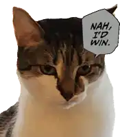 a cat says nah i 'd win in a speech bubble