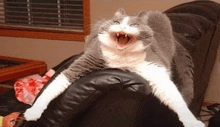 a cat is yawning while sitting on a couch .