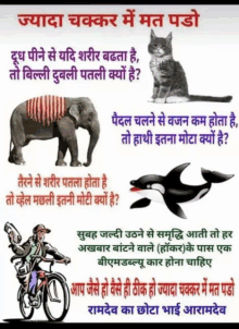 a man is riding a bike next to an elephant and a cat and a dolphin