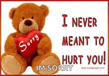 a teddy bear holding a heart that says sorry