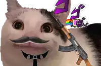 a cat with a mustache and a rifle on its head