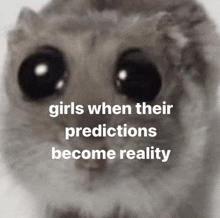 a close up of a hamster with the words girls when their predictions become reality