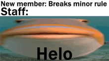 a picture of a fish with a caption that says new member : breaks minor rule staff : helo