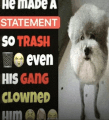 a dog standing next to a sign that says " he made a statement so trash even his gang clowned him "