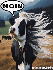 a picture of a cow with a speech bubble saying moin