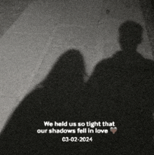 we held us so tight that our shadows fell in love .