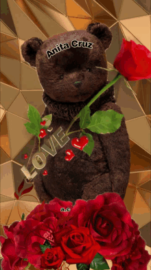 a brown teddy bear holding a red rose with the name anita cruz written on it