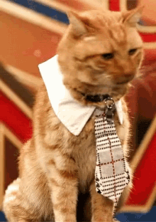 Business Cat Goose The Cat GIF