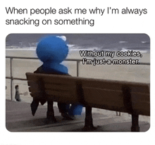 a cookie monster is sitting on a bench with the caption " when people ask me why i 'm always snacking on something