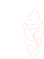 a line drawing of an ice cream cone with bubbles