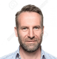 a man with a beard and a blue striped shirt is smiling for the camera .