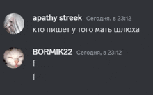 a screenshot of a conversation between apathy streek bormik22 and a cat